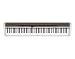 Musical Instruments : Casio WK-8000 88 Key Keyboard with Stand and Power Supply