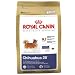 chihuahua7  - Royal Canin MINI Canine Health Nutrition Chihuahua 28