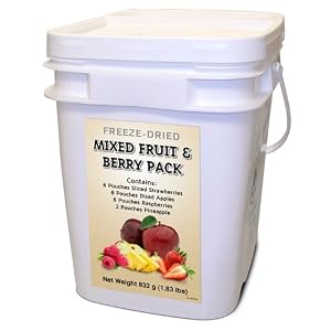 Freeze Dried Fruit Variety - 160 servings Freeze Dried Fruit Variety - 160 servings