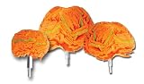 Review PTC  / 3-pc Set of Polishing Balls