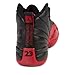 AIR JORDAN 12 RETRO BG Boys sneakers 153265-002