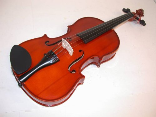 Rossetti, 1126A, Acoustic All Rosewood Viola 15