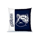 Penn State Nittany Lions NCAA Vertical Stitch Pillow (27x27)