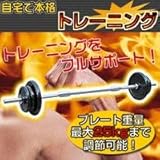 THE BARBELL(ザバーベル)25kg KW-733