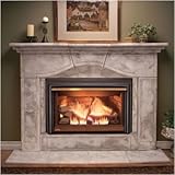 Napoleon GDI-44N Inspiration Direct Vent Gas Fireplace Insert Inspiration Direct Vent Gas Fireplace Insert