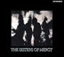 More  / You Could Be the One