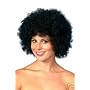 Budget Curly Black Afro Wig