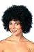Budget Curly Black Afro Wig