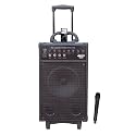 Pyle-Pro PWMA930I 600-Watt VHF Wireless Portable PA System/Echo with iPod Dock