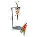 World Cuisine Upright Carrot Peeler