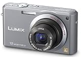 Panasonic DMC FX100 Grey