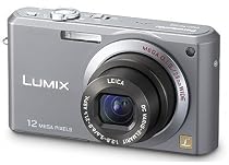 Panasonic DMC FX100 Grey