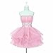 Fashion Plaza Crystal Sequined Mini Short Dress D0130