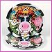 Farm Animal Barnyard Paper Dinner Plates (8 PC)