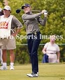 Natalie Gulbis 8x10 Photo