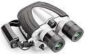 Bushnell Stableview 10 x 35 Image Stabilizing Binocular