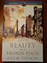 Beauty in a Broken Place