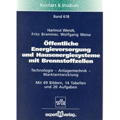 �ffentliche Energieversorgung und Hausenergiesysteme mit Brennstoffzellen