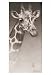 Jean, the Giraffe by Robert L. Caldwell poster print,13 in. x 19 in.