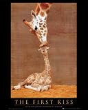 First Kiss (Giraffe with Baby) Art Poster Print - 16x20 Mini Poster Print, 16x20 Collections Mini Poster Print, 16x20
