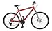 Search : Reflex Harlem FS Double Disc 22" Gents MTB