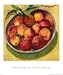 Apple Bowl Ii - Artist: Dawna Barton - Art Print Poster Size: 24.00 By 30.00 Inches