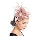 SAFERIN Fascinator Hat Feather Mesh Net Veil Party Hat Flower Derby Hat with Clip and Hairband for Women (TA2-Foral Mesh Pink)