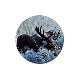 Moose Rubber Round Coaster (4 pack)