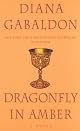 Dragonfly in Amber