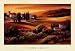 Afternoon Light in Tuscany Art Giclee Poster PRINT Carol Jessen 36x24