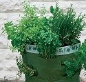 2 herb patio planters - made of tough polyethylene - 45cm H x 35cm Dia.