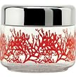Alessi Mediterraneo Kitchen Container, Small