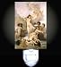 The Birth of Venus by Bouguereau Decorative Night Light