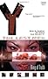 Y The Last Man Vol 5 