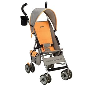 http://ecx.images-amazon.com/images/I/413edQ1Ap8L._SL500_AA280_.jpg
