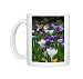 Photo Mugs of Crocus in the grass 2 from ClownFish Photo