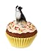 Australian Shepherd Figurine - Cup Cake - Trinket Box