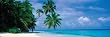 Maldives Tropical Beach Poster Print 12x36
