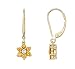 1/2 ct. tw. Citrine and Diamond Flower Earrings