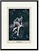 Black Framed/Matted Print 17x23, Beside the Pond
