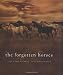 The Forgotten Horses