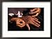 Arabic Swahili Henna Design Being Made, Lamu, Kenya Lonely Planet Collection Framed Photographic Poster Print by Ariadne Van Zandbergen, 21x17
