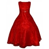 Girls Red Embroidered Organza Christmas Dress with Scarf (4 - 10) NEW