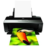 Epson Stylus Photo R1900 Large Format Photo Printer (C11C698201)