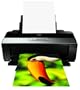 Epson Stylus Photo R1900 Large Format Photo Printer (C11C698201)
