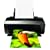 Epson Stylus Photo R1900 Large Format Photo Printer (C11C698201)