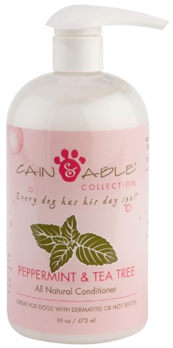 Cain & Able Peppermint Conditioner - 16 Ounces