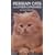 Persian Cats and Other Long Hairs