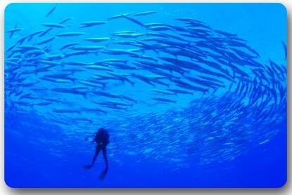 Home Fashions Rectangle Machine-washable Non-Slip Ship Aquanaut Frogman Painting Doormat-23.6 x 15.7inches Welcome Doormat