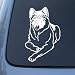 AKITA - Dog - Vinyl Car Decal Sticker #1484 | Vinyl Color: White